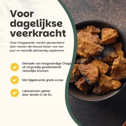 20% korting | Cupplement Chaga Poeder Biologisch