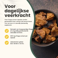 20% korting | Cupplement Chaga Extract Capsules 400mg