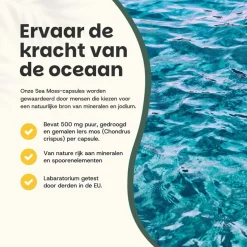 30% korting | Cupplement Combideal Sea Moss Capsules 500 mg Biologisch