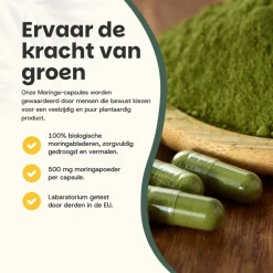20% korting | Cupplement Moringa Capsules 500 mg Biologisch