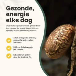 20% korting | Cupplement Shiitake Poeder Biologisch
