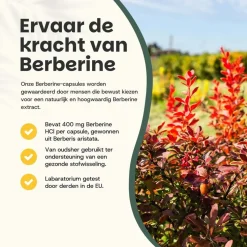 20% korting | Cupplement Voordeelverpakking Berberine Extract Capsules 400 mg