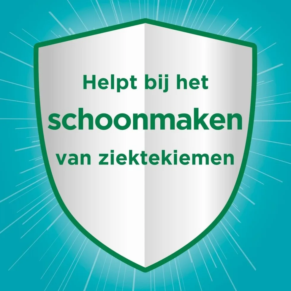 Ajax Eucalyptus Allesreiniger