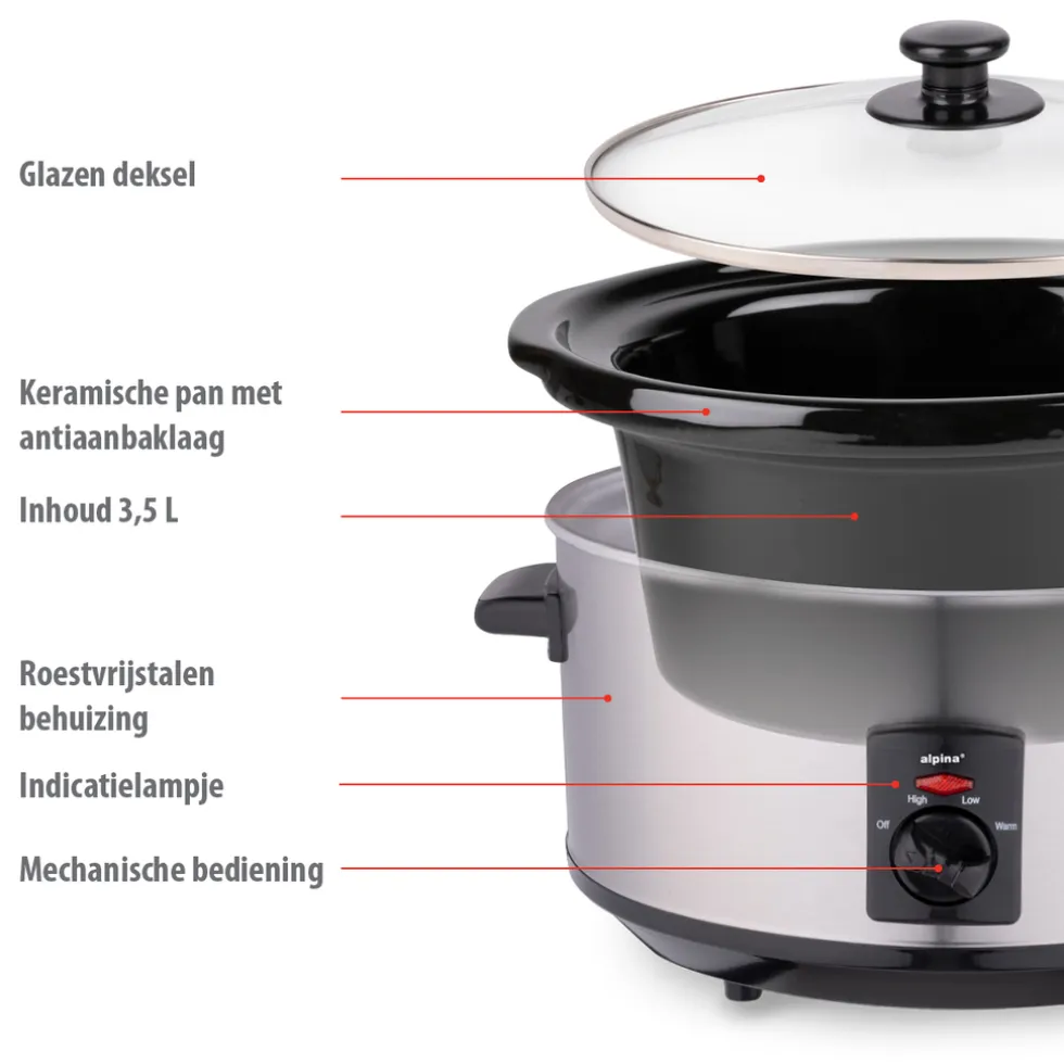 alpina Slowcooker MEASL4350/001