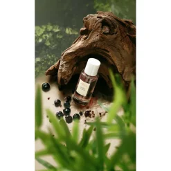 Arts & Odeurs Souffle Tropical Extrait de Parfum