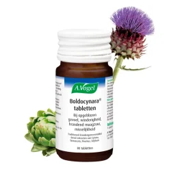 A.Vogel Boldocynara Tabletten