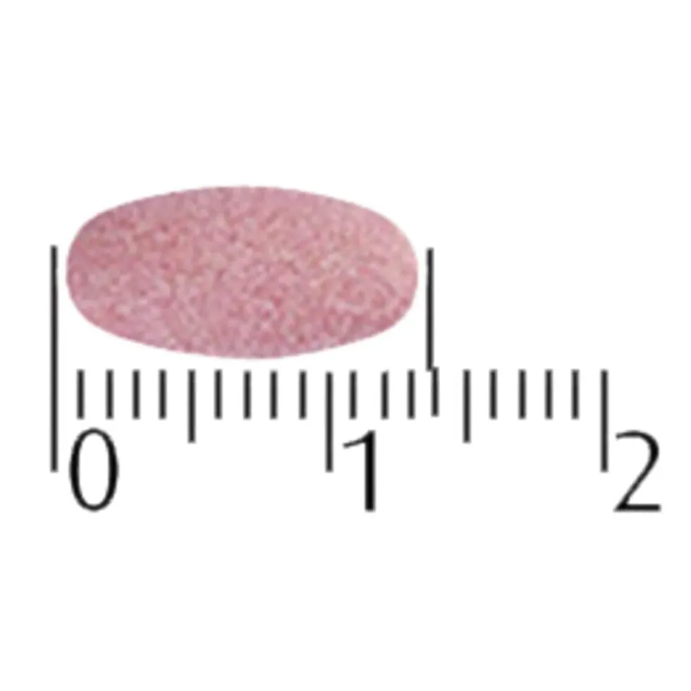 A.Vogel Echinaforce Sterk** + Vitamine C Kauwtabletten