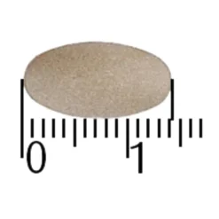 A.Vogel Overgang Famosan Salvia Sterk** Tabletten