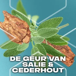 Axe Apollo Antitranspirant Spray