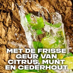 Axe Wild Mojito & Cedarwood Deodorant & Bodyspray