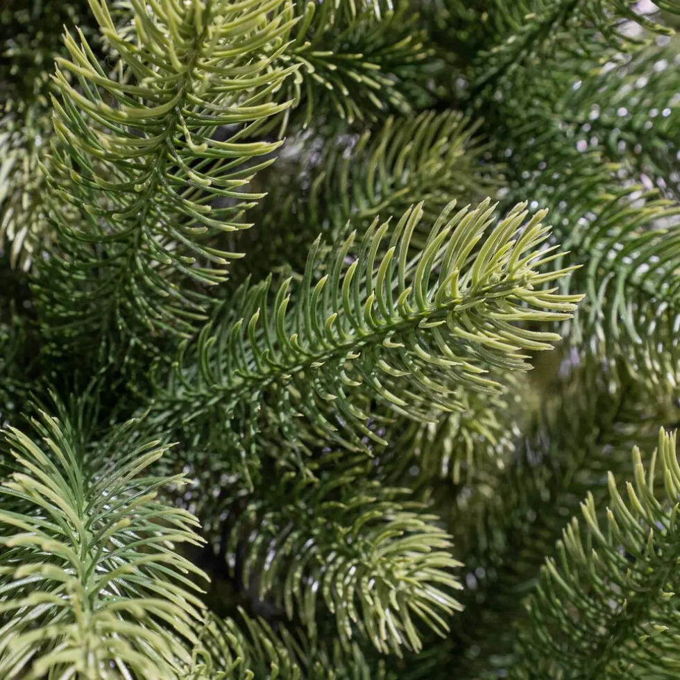 Black Box Trees Kunstkerstboom