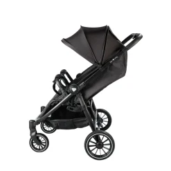 Born Lucky Duo Buggy Ranger