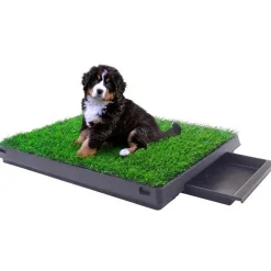 Buxibo Hondentoilet Kunstgras met Bak Indoor Dierentoilet Uitneembare Opvangbak