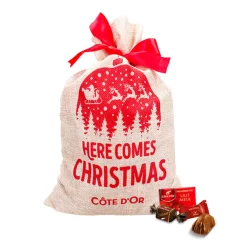 Côte d'Or Best of chocolademix kerstzak