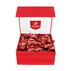 Côte d'Or Mini Bouchée luxe rode magneetdoos