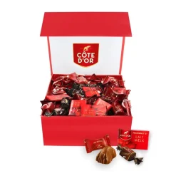 Côte d'Or The Best Of – Luxe Magneetdoos met Chokotoff, Mini Bouchée & Mignonnette Melk