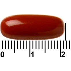 Davitamon Actifit 65+ Omega-3 Visolie Multivitamine & Mineralen Capsules