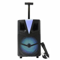 Denver TSP307 Bluetooth Partyspeaker met LED verlichting