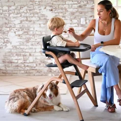 Deryan Curve Luxe Meegroei Kinderstoel Met Wipstoel & Inlegkussen