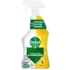 Dettol Power & Fresh Citrus Allesreiniger Spray