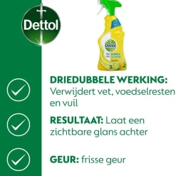 Dettol Power & Fresh Citrus Allesreiniger Spray