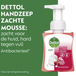 Dettol Touch of Foam Rose & Cherry in Bloom Handzeep
