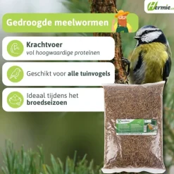 Famiflora meelwormen vogelvoer