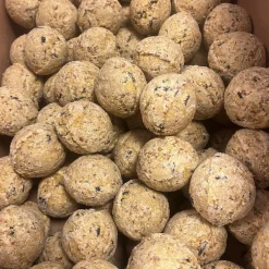 Famiflora mezenbollen zonder net