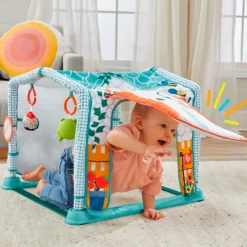 Fisher Price 3-In-1 Kruipen en Spelen Activiteitenspeelmat