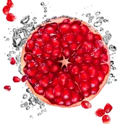 Garnier SkinActive Hydra Bomb Tissuemasker