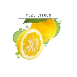 Guhl Fris & Luchtig Anti-Vet Shampoo