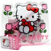 Hello Kitty Gevulde Etui