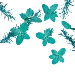 Kneipp Goodbye Stress Watermunt Rozemarijn Badolie