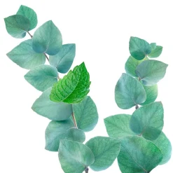 Kneipp Refreshing Mint-Eucalyptus Douchefoam