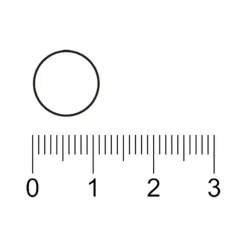 Kruidvat Biergist Tabletten