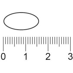 Kruidvat Calcium met Vitamine D & K Tabletten