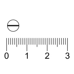 Kruidvat Knoflook Capsules