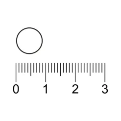 Kruidvat Vitamine B12 Tabletten