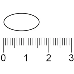 Kruidvat Vitamine C-500 Tabletten