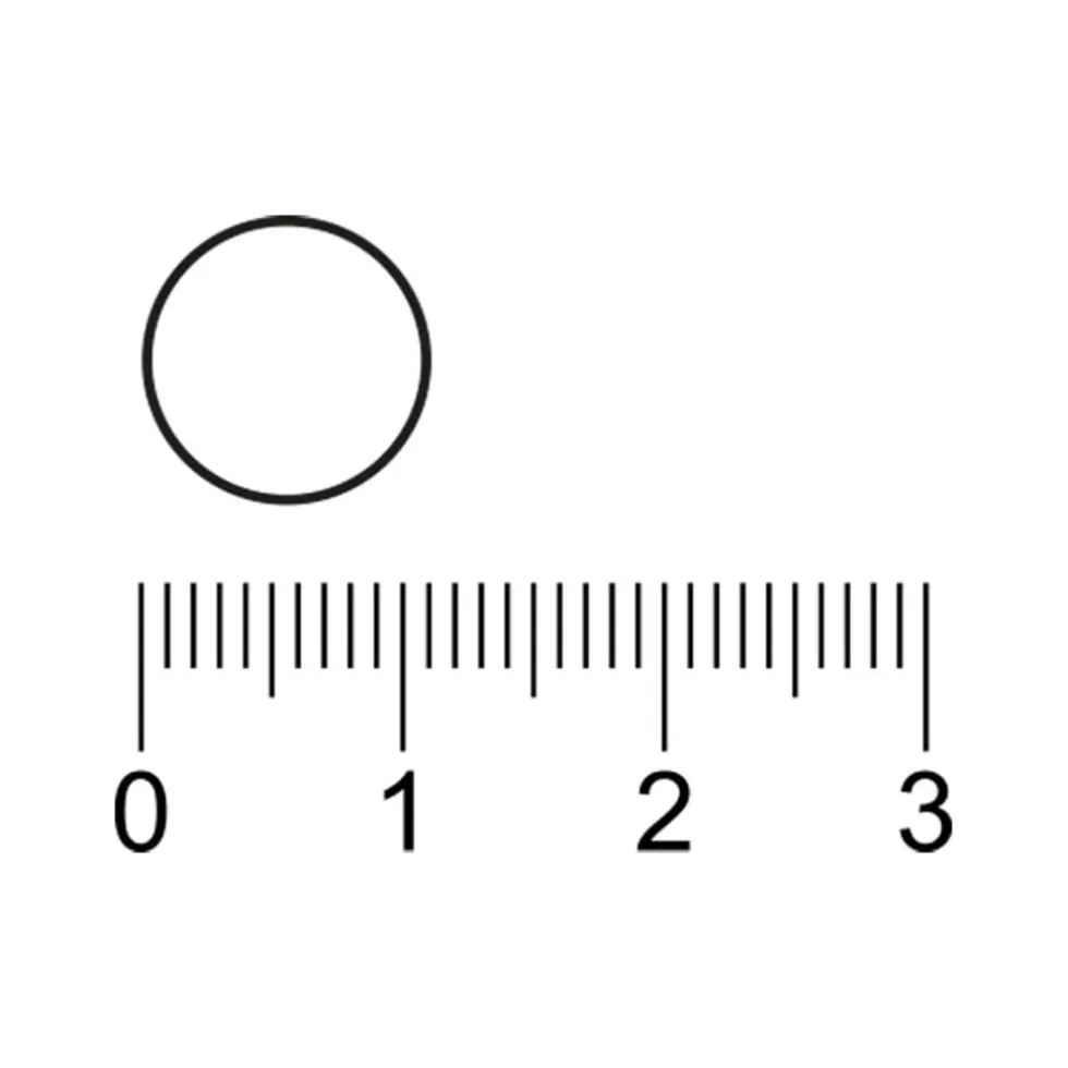 Kruidvat Vitamine D3 met Magnesium Tabletten