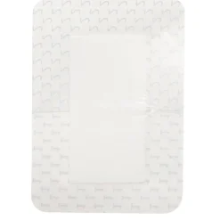 Kruidvat Waterproof Eilandpleisters