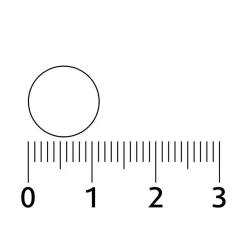 Lucovitaal Biotine Forte 10.000mcg Zuigtabletten
