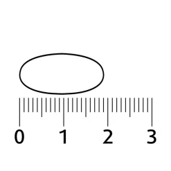 Lucovitaal D-Mannose Cranberry Tabletten