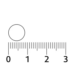 Lucovitaal Oesterkalk Calcium Vitamine D3 & K Tabletten