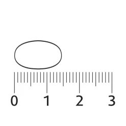 Lucovitaal Vitamine B Complex Forte Tabletten