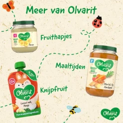 Olvarit 12+M Smoothie Bosvruchten Knijpfruit