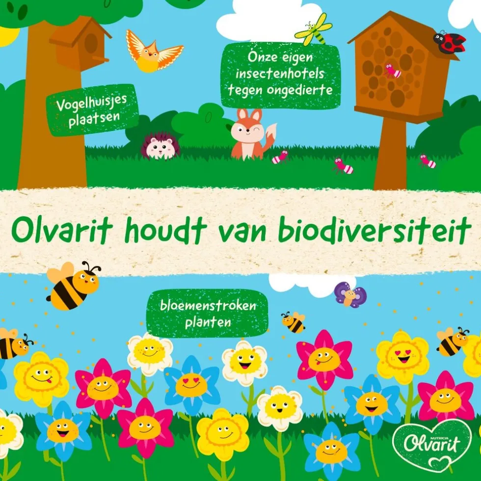 Olvarit 12+M Smoothie Bosvruchten Knijpfruit