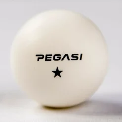 Pegasi 1 ster pingpong ballen 6st.