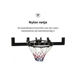 Pegasi basketbalbord School