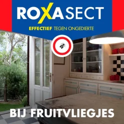 Roxasect Fruitvliegjes